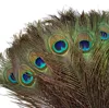 50 Pcs/Lot Natural Real Peacock Feathers for Decoration 25-80cm Home Hotel Crafts Feather Decor Wedding Accessories Decoration ► Photo 3/6