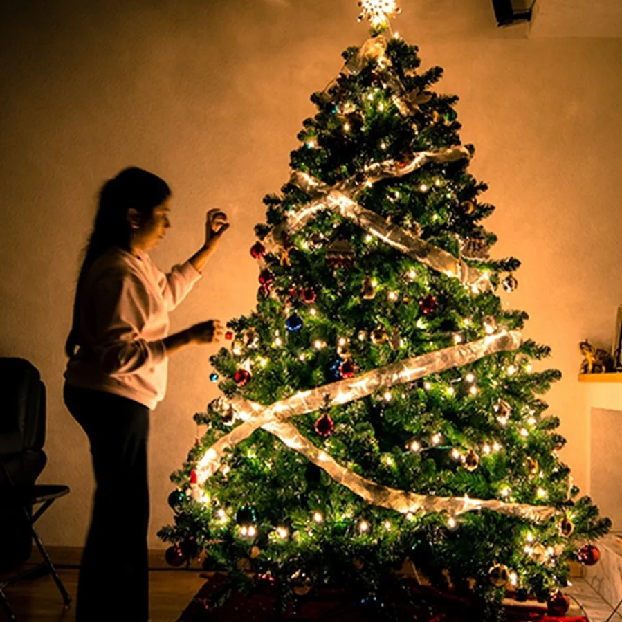 Рисунок 3 - 220 В Праздничная светильник вая гирлянда