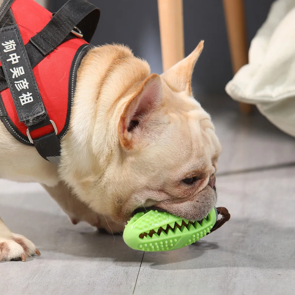 Зубная щетка для животных протечка пищевая игрушка резиновый молярный регби мяч укуса упорная жевательная игрушка интерактивный эластичный мяч для собаки безопасные портативные игрушечные