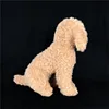 Simulation Teddy Dog Poodle Plush Toys Stuffed Cute Animals Dolls Soft Baby Pillow for Kids Girls Christmas Birthday Gifts ► Photo 3/6