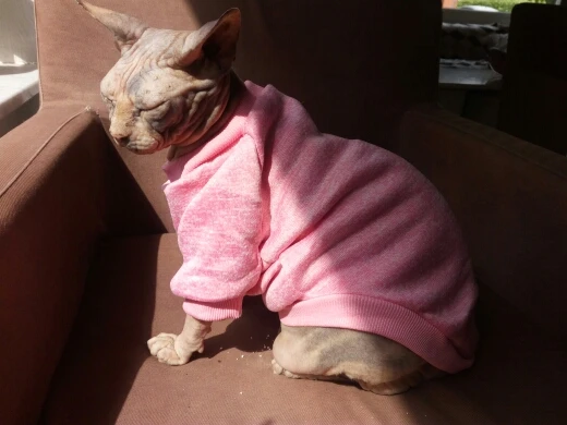 Теплая одежда для кошек; зимняя одежда для домашних животных; модная мягкая одежда; пальто с кроликом 45; свитер с животными; весенняя одежда с капюшоном для кошек