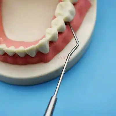 O1CN01ak8kEG2NAmdYfK157_!!655079923.jpg_400x400