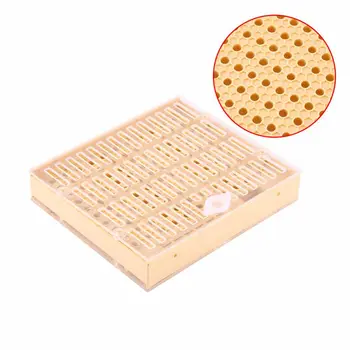 

New Beekeeping Cup Bee Keeper Tools Queen Rearing Bee Cupkit Box System Beekeeping Tools Apiculture Supplier Queen Rearing Cup