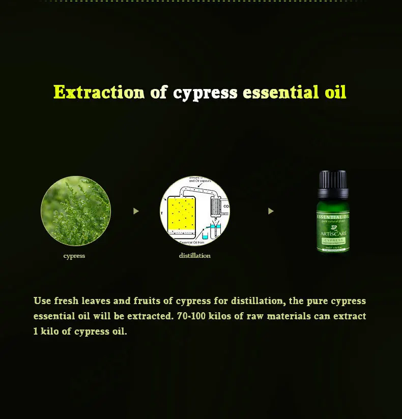 cypress_04
