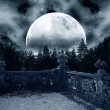

Halloween Backdrops mysterious full moon stars Castle forest Halloween theme backdrop professional photo background studio