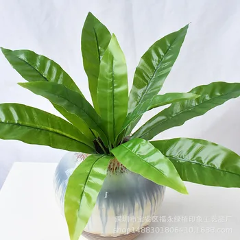 

Handfeel Model Nestle Plant Wall with Wood Lamination Green Plenty Brazil Iron Leaf Bird's Nest Fern Fern Bundle