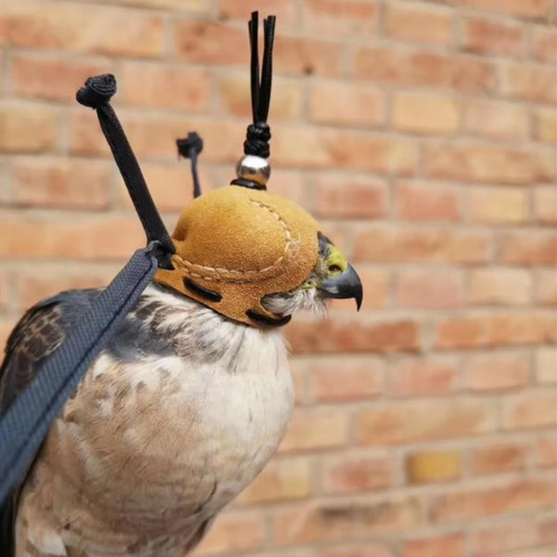 

Falconry Eagle Screaming Hood Falcon Hat Eye Mask Helmet Arab Pedal Accipiter Nisus Accipiter Virgatus Affinis Eurasian Kestrel
