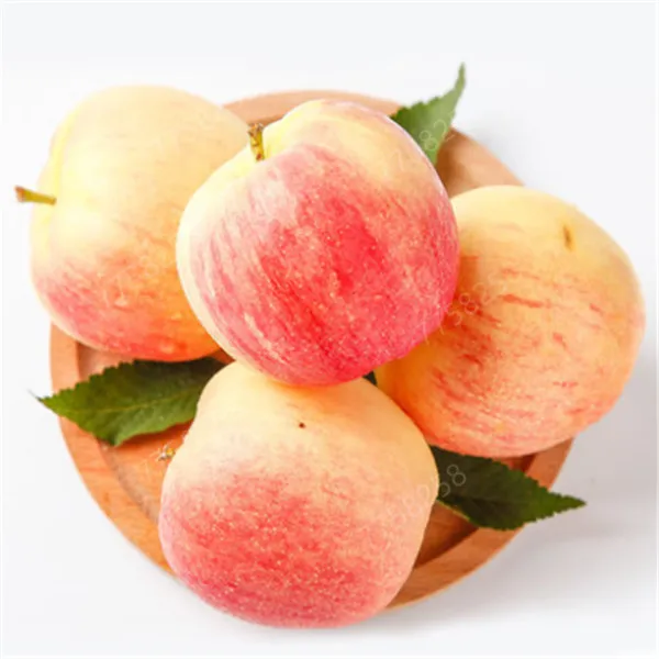 

30 Pcs Dwarf Apple Bonsai Miniature Apple Tree Sweet organic perennial fruit vegetable Bonsai indoor or outdoor DIY Home Garden