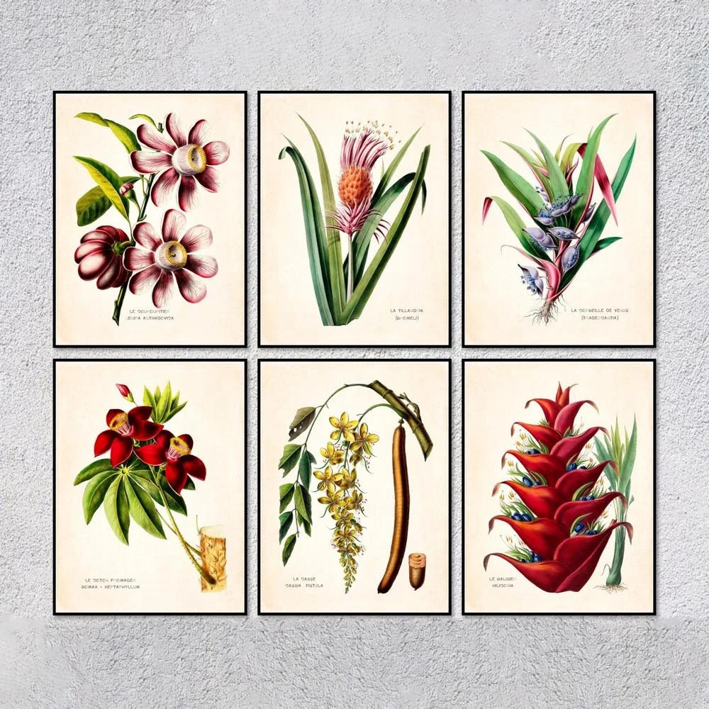 ヴィンテージのフルーツイラスト 植物 野菜の装飾 キャンバス絵画 絵画 書道 Aliexpress