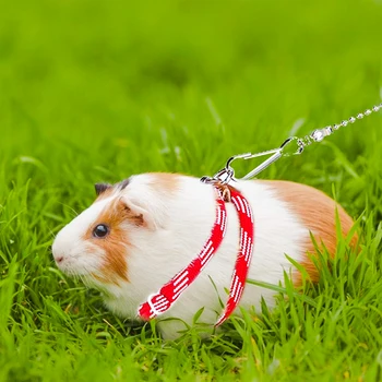 

2020 New Small Pet Adjustable Soft Leash Bird Parrot Mouse Hamster Ferrets Rat Pet Pig Leash