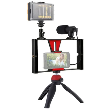 

Vlogging Live Broadcast LED Selfie Light Cell Phone Video Rig Kits with Microphone Tripod Mount Cold Shoe Tripod Head for iPhone