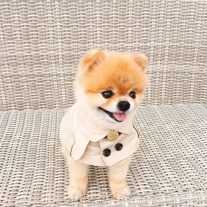 British Buttons Dog Clothes Autumn Pet Coat Brown Dog Christmas Cloak Warm Short Clothing Puppy Clothes Teddy Chihuahua Costume