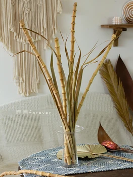 

Simple and Elegant Simple Soft Clothes Homestay with Decorative Dry Branches Model Living Room Furnishings Basin not included