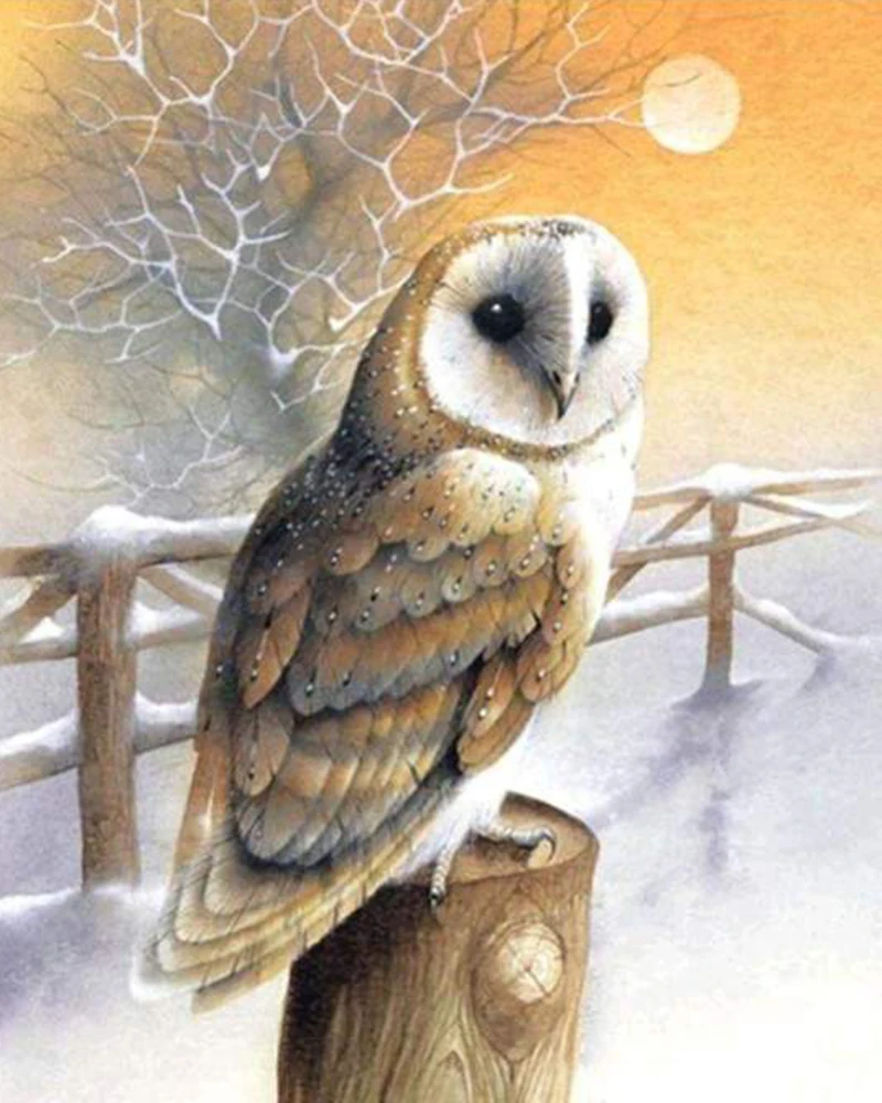

Full-Diamond 5D DIY Diamond Resting Owl Pattern Diamond Embroidery Cross-stitch Rhinestone Mosaic Painting Decoration