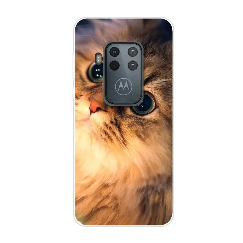 40