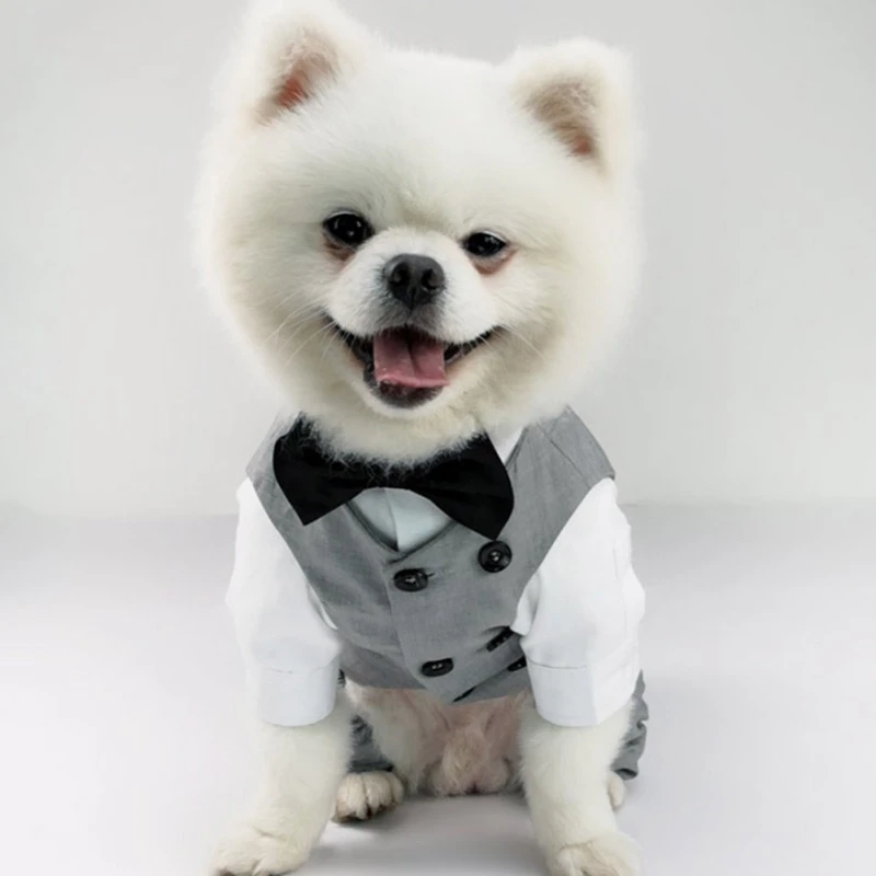 Ropa de caballero para mascotas, traje de boda, camisa Formal para perros pequeños, para mascotas, disfraz de Halloween y Navidad para perros y gatos|Camisetas de perro| AliExpress