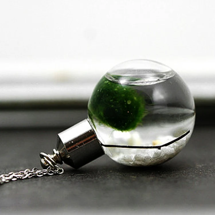 6 шт прозрачный стеклянный шар с металлическими винтовыми крышками стеклянный флакон кулон миниатюрная стеклянная бутылка желаний ожерелье кулон