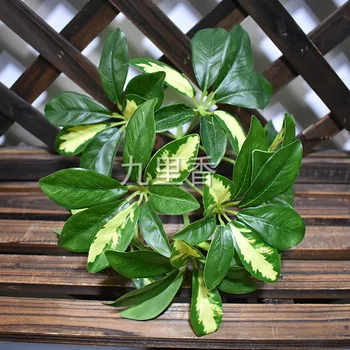 

Flower and Leaf Yellow Dot 9 Fork Model Wood Duck Feet Leaf Lamination Model Green Model Plant Wall with Wood Green Vegetation B