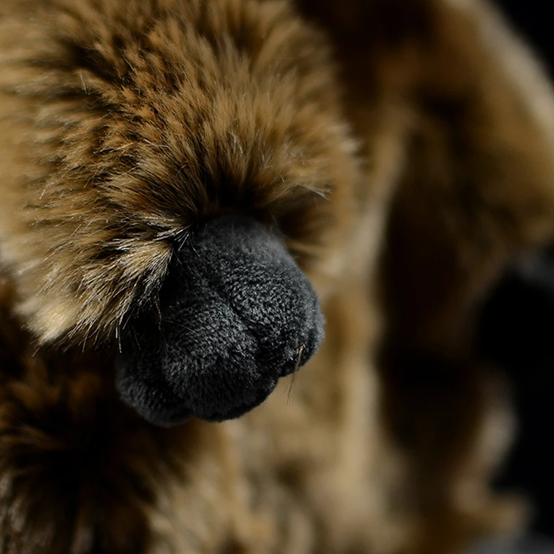 Милый Marmot настоящая жизнь плюшевая игрушка мягкая Sciuridae кукла реалистичные животные Prairie Набивная игрушка собака дети каваи Рождество grounhog подарок
