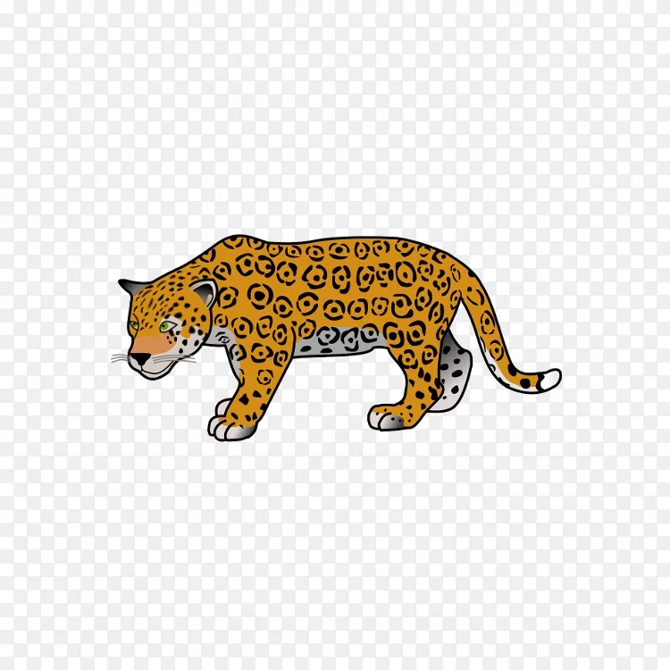 美洲虎卡通豹 美洲虎png图片素材免费下载 图片编号 Png素材网