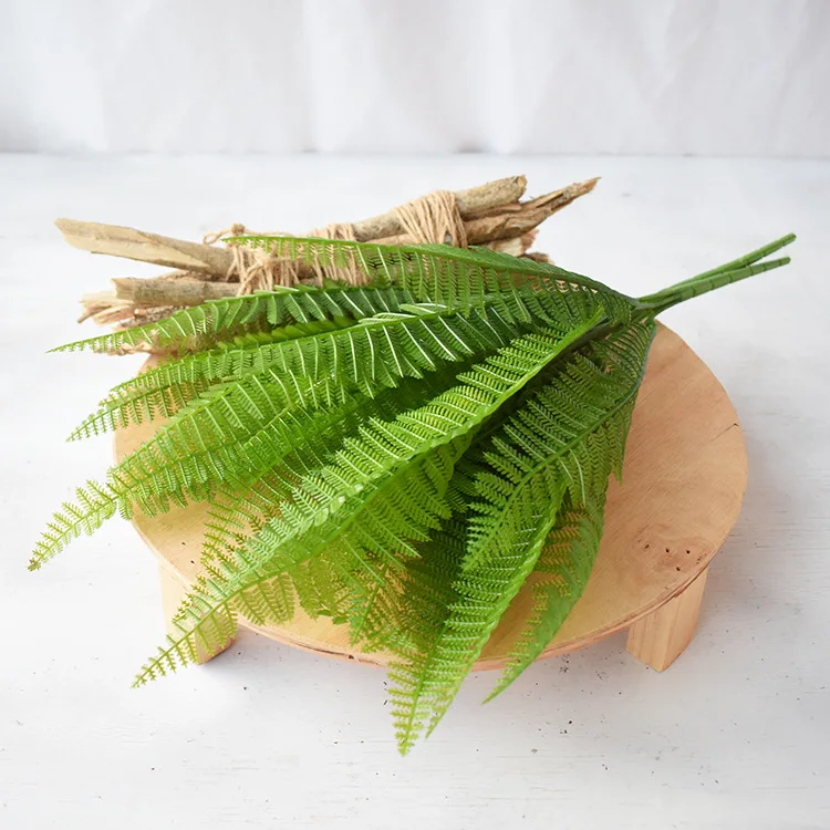 Натуральный папоротник Pteridophyllum 45 см искусственный пластиковая водная трава