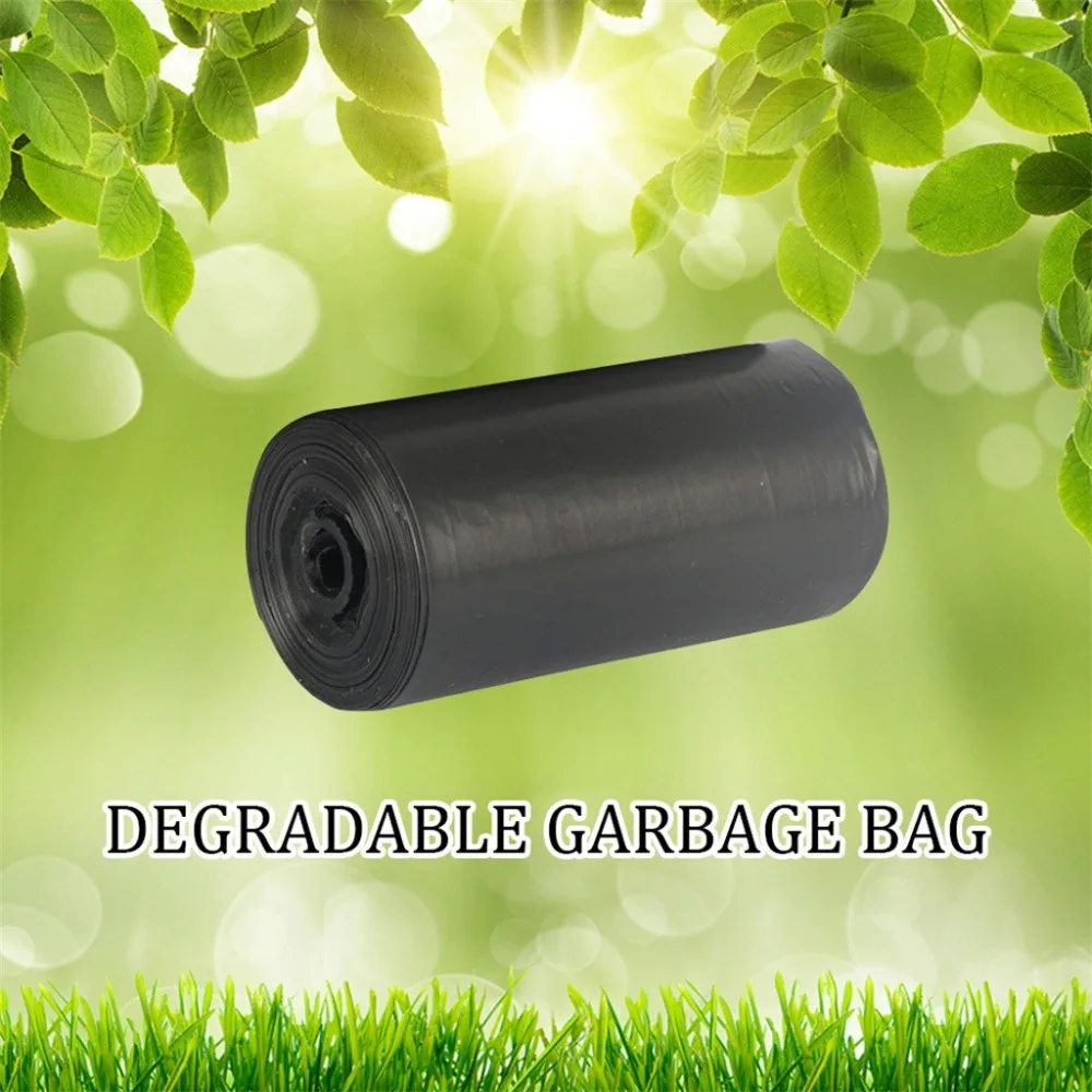 CCS200304002_1001506822819375333