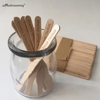 

200pcs Custom Engraved Wooden Popsicle Sticks Jumbo Natural Craft Sticks for Party Event Buffet Appetizer Markers