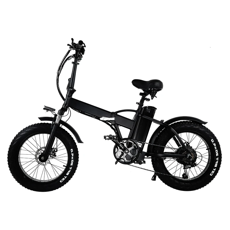 2 wheel electric bike