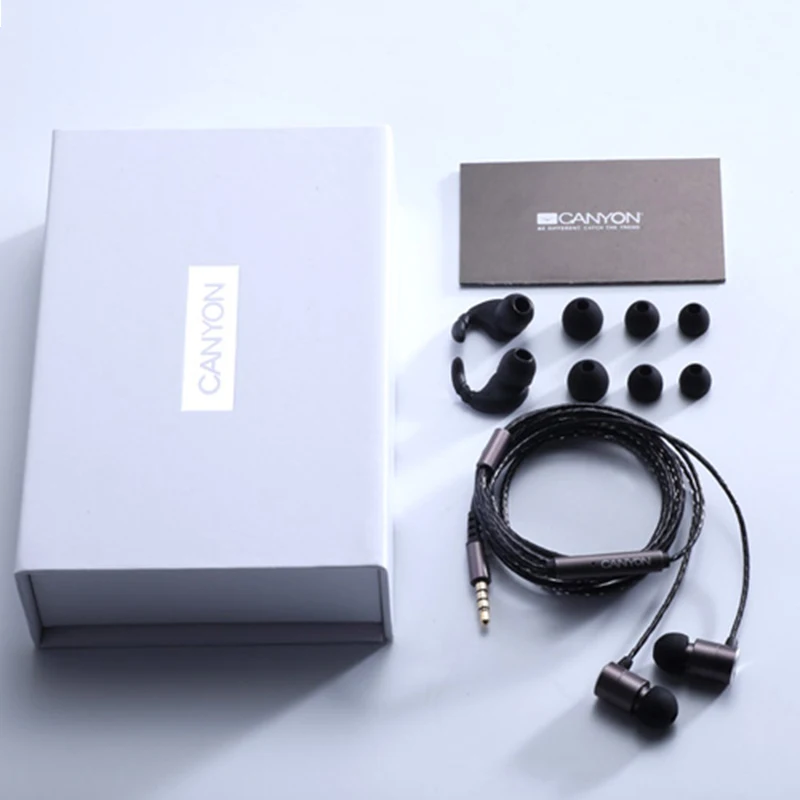 HIFI In Ear Earphones With MMCX Upgrade Detachable Type C Cable Noise Cancelling Heavy Bass Headphone With Mic