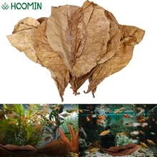 60/40/20 шт. натуральный Terminalia Catappa листья садок для рыбы чистящие средства для баланса PH кислотность аквариум Очистка воды 60/40/20 шт. натуральный Terminalia Catappa листья садок для рыбы чистящие средства для баланса PH кислотность аквариум Очистка воды