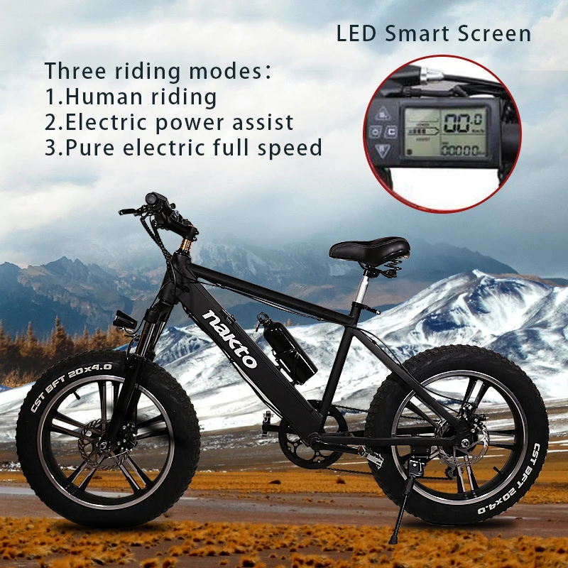 Electric Snow Mountain Bike Battery 