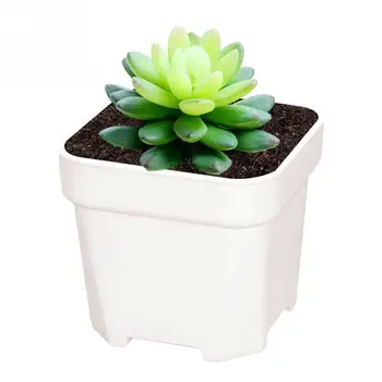 

5pcs Garden Mini Cactus Plant Home Office Plastic Square Colorful Flower Pots