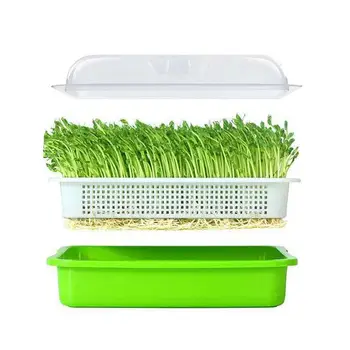

Bean Sprouts Double-layer Dishes Plate Seedling Tray Plastic Hydroponic Flower Basket Flower Plant Home Garden Nursery Pots