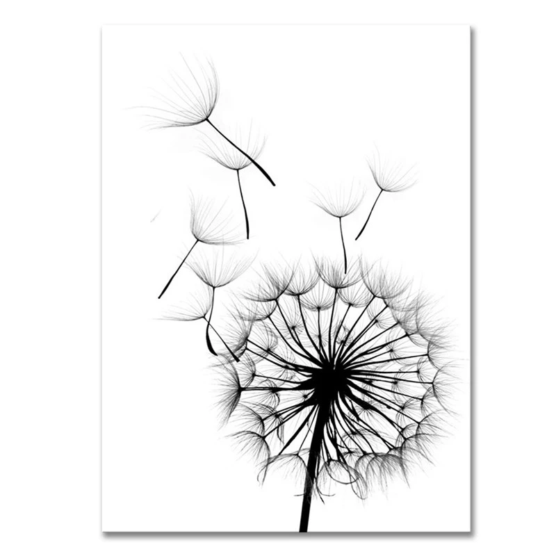 Dandelion Black And White