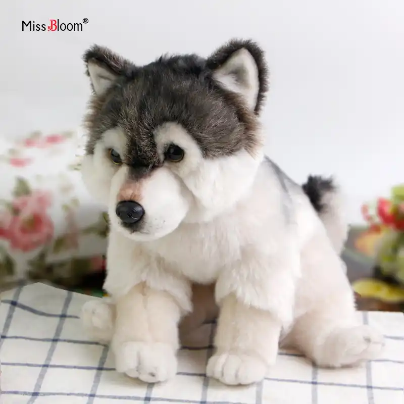 Peluche Chien Mignon Bichon Loup Schnauzer Pomeranien Corgi Joints Peluche De Simulation Chiot Teddy Poupee Bebe Cadeau Pour Enfants Aliexpress