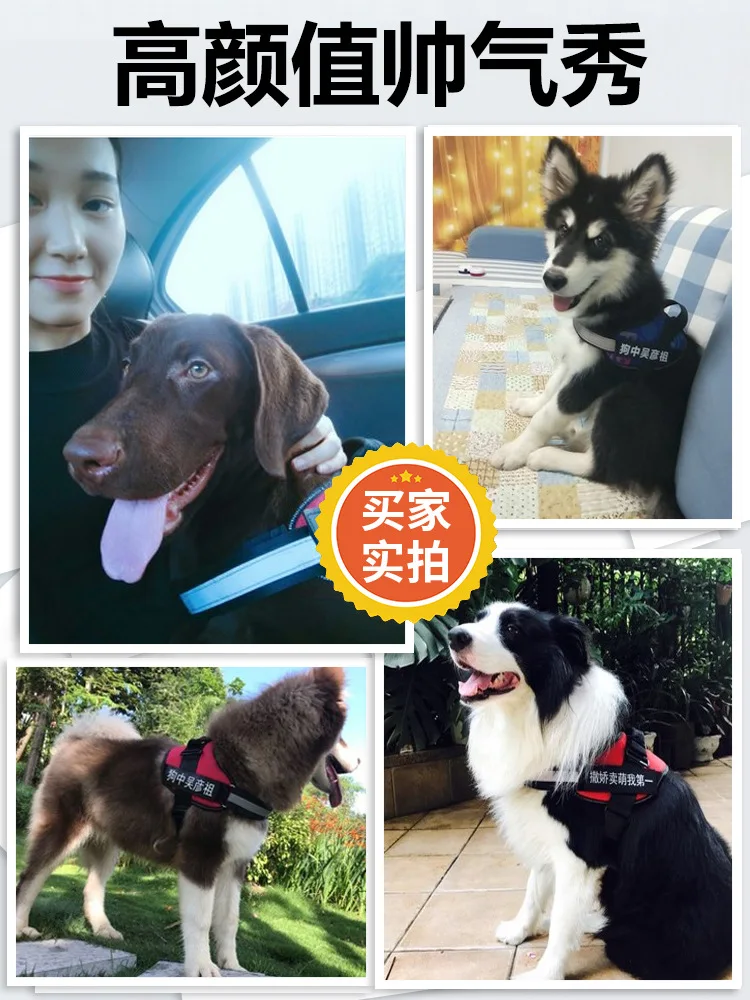

Back Type Dog Dog Teddy Lanyard Labrador Medium Traction Small Golden Unscalable Dogs Dog Chain Thoracic Universal