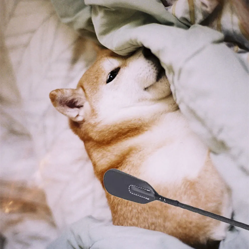 45 см Pet кожаный штыревой указатель прочный Палм любовь Конный кнут интерактивная