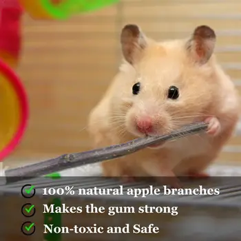 

Pet Hamster Chew Toy Apple Wood Sticks Twigs Cleaning Pig Pets Pet Rabbit Guinea Pet Playing Teeth Parrot Supplies Small To H1R2