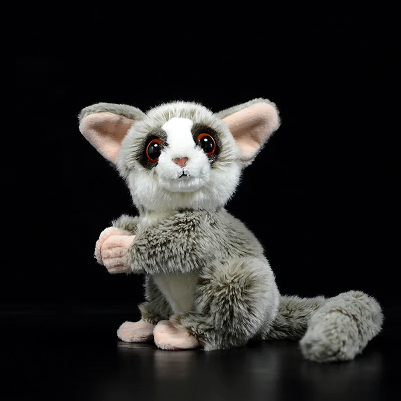 

Original Cute Galago Senegalensis Plush Toy Northern Lesser Galago Likelife Soft Simulation Doll Real Life Animals Kids Gift