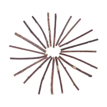 

15/20pcs Natural Fruit Matatabi Cat Snacks Sticks Catnip Pet Cat Molar Toothpaste Rod Kitten Cleaning Teeth Tool