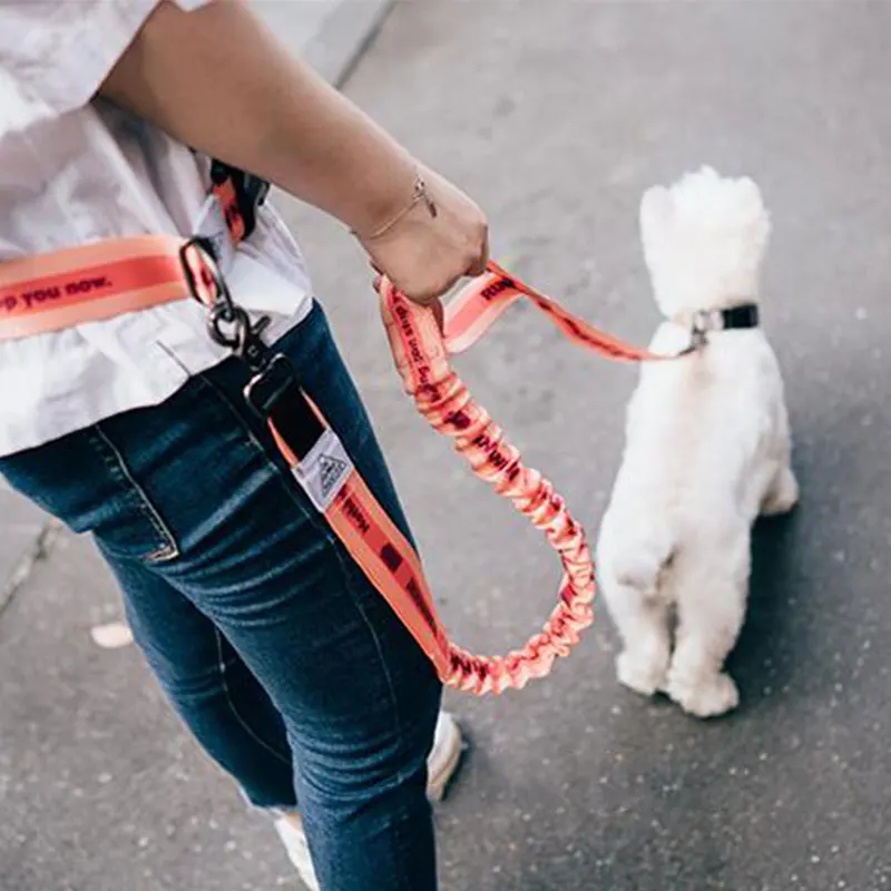 2021 Adjustable Reflective Leash Traction Rope Pet Dog Running Belt Elastic Hands Freely Jogging Pull Dog Collar D-ring Leashes