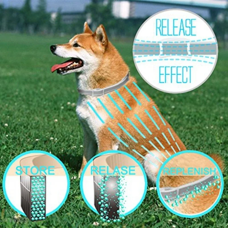 5b45a33192380660ed739637-1-original