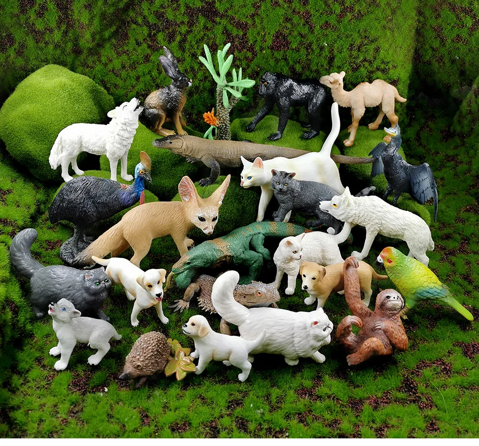 详情页-23款-黑冠猕猴-小树懒等_01