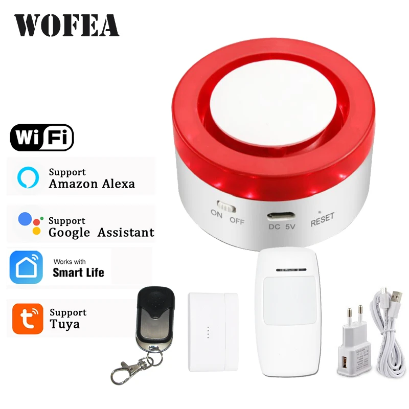 google compatible security system