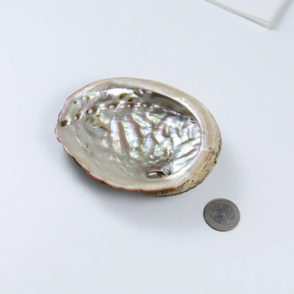 HTB1837HX2WG3KVjSZFPq6xaiXXau