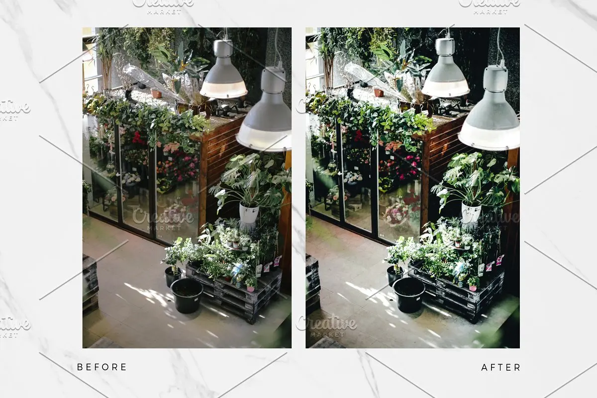 动作预设-5个植物Lightroom预设Botanical Lightroom Presets(8)