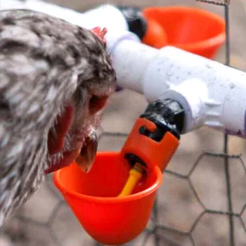 

20pcs Drinking Cups 5cm/1.97 Inches For Chickens,broilers,breeders,hens,ducks,pigeons,birds,quail,hens,turkeys,geese