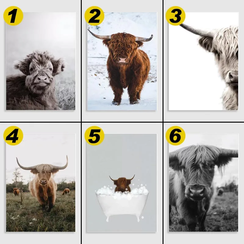 Картина на холсте с рисунком Highland Cow Blue Bath настенный художественный постер для