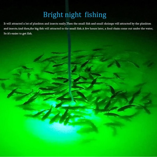 200W Marine Boat Underwater Squid Fishing LED underwater Light can be 12V/24V  5-10M cable - AliExpress