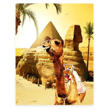 

HommomH 60 x80 inch blanket polyester material anti-pilling comfortable soft portable soft sofa blanket pyramid & camel